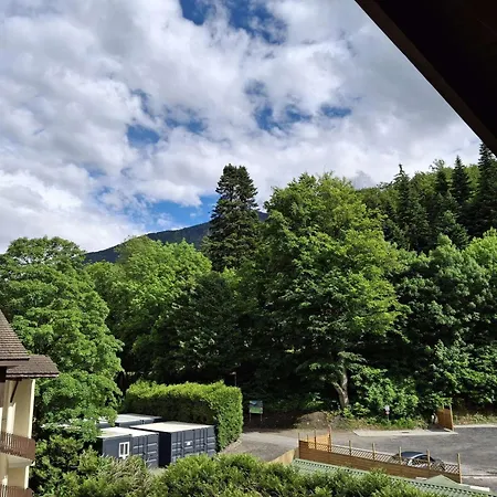 4 Pers Avec Balcon Et Parking, Wifi Inclus, Animaux Admis - Fr-1-512-186 *